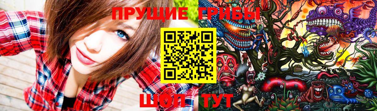 Камышлов  Галлюциногенные грибы Psilocybine cubensis  Вход с VPN 