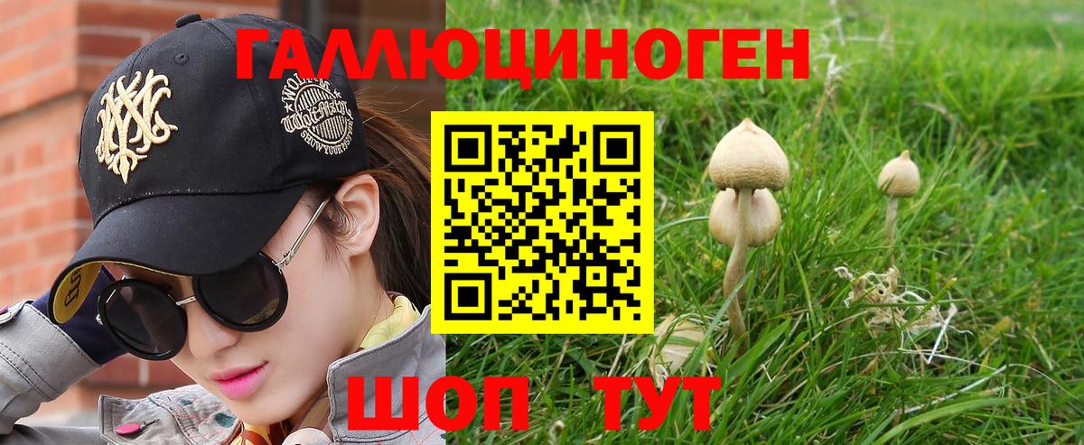 Галлюциногенные грибы Magic Shrooms Камышлов